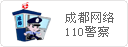 双流网络110