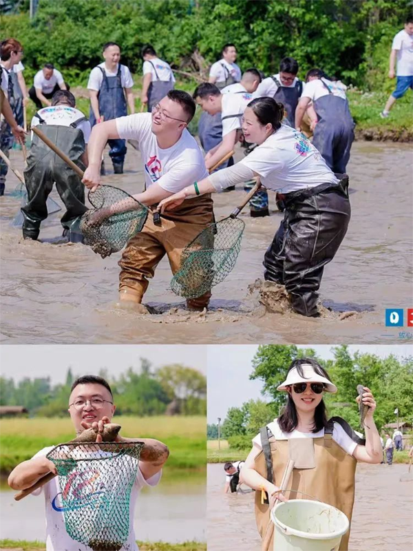 泥塘摸鱼乐