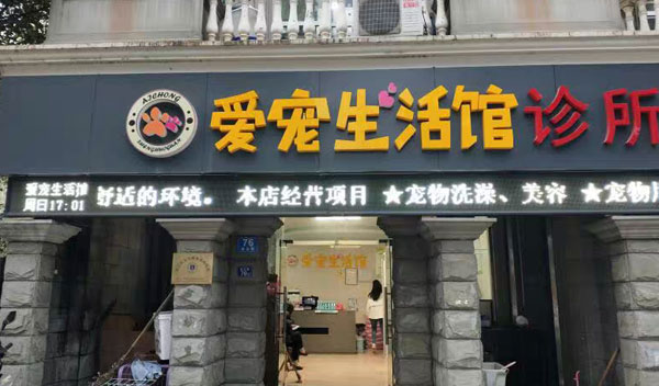乾安茶易拉宝价格尺寸规格大小